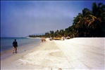 A Beach in Summer